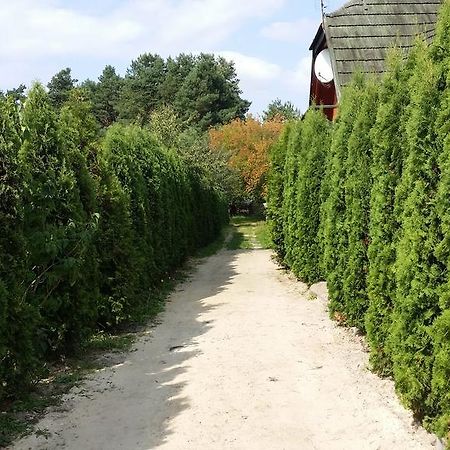 Wyspa Kampinos Brochów Buitenkant foto