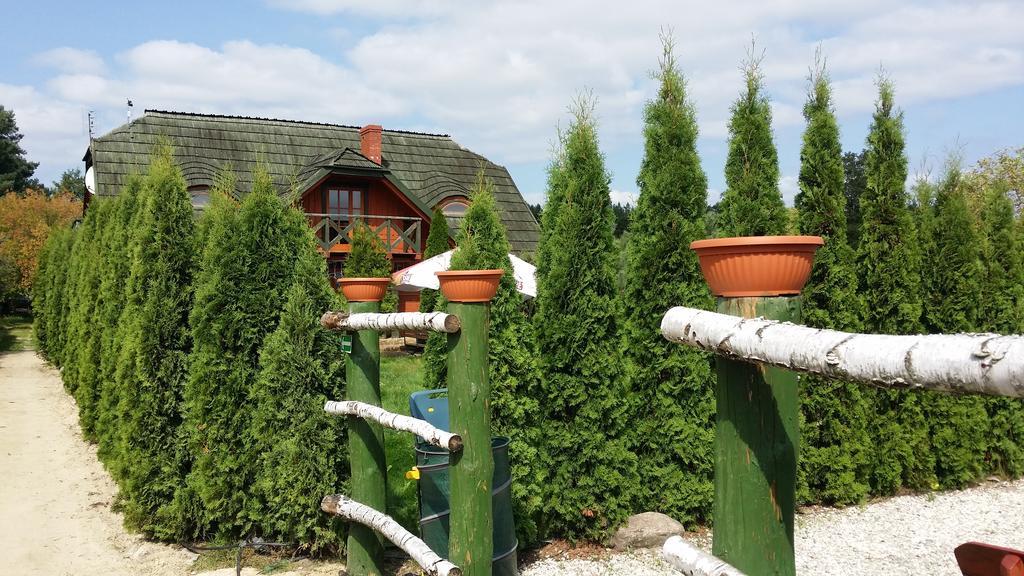 Wyspa Kampinos Brochów Buitenkant foto