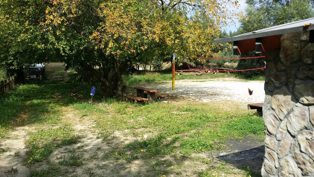 Wyspa Kampinos Brochów Buitenkant foto